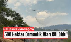 Kahramanmaraş'ta Orman Yangını 3. Günüde!