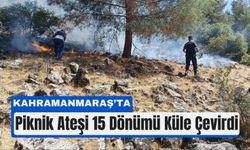 Kahramanmaraş’ta Piknik Ateşi 15 Dönüm Ormanı Yaktı