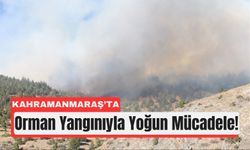 Kahramanmaraş’ta Alevlerle Mücadele İkinci Gününde!