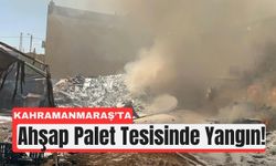Kahramanmaraş’ta Yangın: Kümes Hayvanları Tek Tek Kurtarıldı