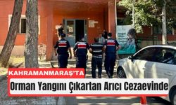 Kahramanmaraş'ta Orman Yangınında Sorumlu Arıcı Tutuklandı!
