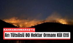 Kahramanmaraş'ta Arıcının Tütsüsü 80 Hektar Ormanı Yaktı!