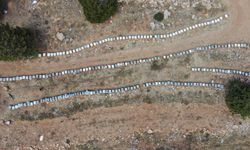 Kahramanmaraş’ta Karakovan Balı Rekor Fiyatla Satılıyor