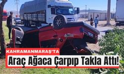 Kahramanmaraş'ta Otomobil Ağaca Çarptı, Takla Attı