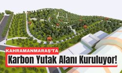 Kahramanmaraş’ta 25 Milyon TL’lik Karbon Yutak Alanı