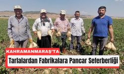 Kahramanmaraş Tarımında Pancar Bereketi