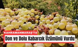 Kahramanmaraş’ın Tescilli Üzümünde Üretim Düşüşte!