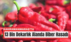 Kahramanmaraş Pul Biber Üretiminde Türkiye Birincisi!