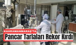 Kahramanmaraş’ta Şeker Gibi Sezon: Rekor Pancar Üretimi