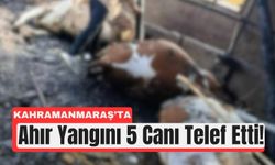 Kahramanmaraş’ta 5 Büyükbaş Alevlerde Can Verdi!