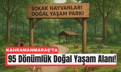 Kahramanmaraş, Sahipsiz Hayvanlar İçin Türkiye’ye Örnek Olacak
