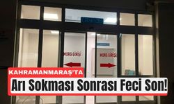 Kahramanmaraş’ta Arı Sokması Can Aldı!