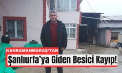Kahramanmaraş'tan Yola Çıktı, Bir Daha Dönmedi!