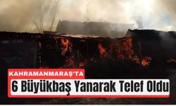 Kahramanmaraş'ta Alevler Ahırı Sardı: 6 Hayvan Yandı