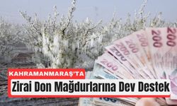 Kahramanmaraşlı Çiftçilere 1,7 Milyar TL Destek