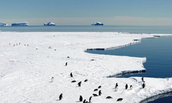 Dünyanın En Büyük Çölü Hangisidir? Cevap Şaşırtıyor