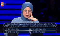 2024’te ABD’de evcil hayvan endüstrisine harcanan toplam para ne kadardır?
