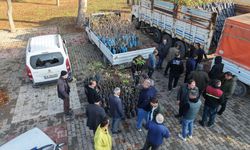 Kahramanmaraş’ta Yüzde 50 Hibeli Fidan Desteği Başladı