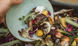 BM Raporu Açıkladı: Dünyada Kişi Başına Yıllık Gıda İsrafı Kaç Kilo?