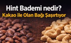 Hint Bademinin Nedir? Kakao ile Olan Bağı Şaşırtıyor