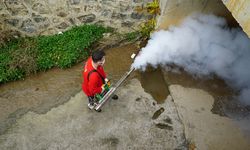 Kahramanmaraş’ta Sivrisineklere Karşı Erken Mücadele!