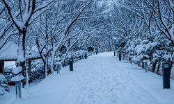 İstanbul’da Kar Yağışı Etkisini Artırdı: Okullar Bugün 31 Aralık Çarşamba Tatil Olacak mı? Gözler Valilikte