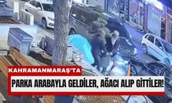 Kahramanmaraş’ta Lüks Araçla Parktan Ağaç Hırsızlığı!