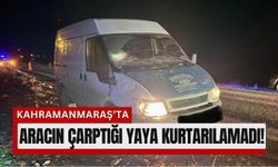 Kahramanmaraş’ta Yol Kenarında Yürüyen Yayaya Araç Çarptı!