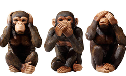 Üç maymunu oynamak deyimindeki maymunların yapmadığı eylem hangisidir?