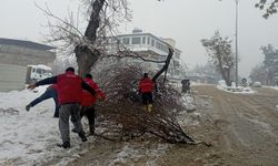 Kahramanmaraş'ta Karın Ağırlığı Dalları Kırdı
