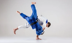 Nazik Yol Anlamına Gelen Kelime Judo, Sumo, Kungfu, Bale hangisidir?