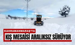 Kahramanmaraş'ta İlçelerde ve Kırsalda Kar Seferberliği