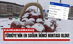 Kahramanmaraş’ta Sibirya Gecesi: Göksun -21,2 Dereceyi Gördü