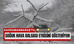 Kahramanmaraş’ta 4 Günlük Don Alarmı!