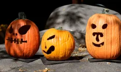 Mevsimlerin Ritmi ve Özel Günler: Hangisi Sonbahar Dönemine Ait Değildir?