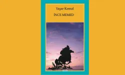 Yaşar Kemal'in 4 ciltten oluşan İnce Mehmet serisinin ilk kitabında zulmü ile bilinen Ağa kimdir?