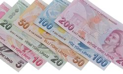 200 Türk Lirasının Arka Yüzünde Kimin Portresi Var?