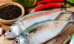 Balık Etinde Renk Sınıflandırması: Siyah Etli Balıklar Hangileridir?