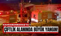 Kahramanmaraş’ta Çiftlikte Korkutan Yangın: Maddi Hasar Büyük