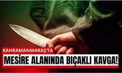 Kahramanmaraş’ta Mesire Alanında Dehşet! Bıçaklar Çekildi