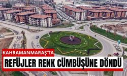 Kahramanmaraş Bahara Büründü! Rengârenk Çiçekler Şehri Süsledi