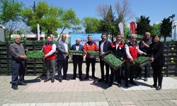 Kahramanmaraş’ta Üreticiye Tam Destek: 500 Çiftçiye 650 Bin Biber Fidesi