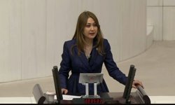 Milletvekili Karakoç’tan TBMM’de Net Mesaj: 'Çocuklarımızın Güvenliği Millî Meseledir'