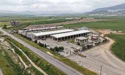 Kahramanmaraş'ta Kurbanlıklar 12 Mayıs’tan İtibaren Satışta