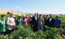 Fırat Görgel: 'Tarım, Kahramanmaraş’ın Geleceğini Şekillendiriyor'