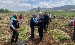 Kahramanmaraş Pazarcık’ta Sarımsak Hasadıyla Çiftçiler Günü Kutlandı