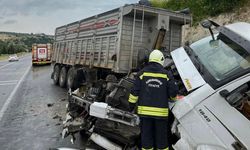 Kahramanmaraş'ta Kontrolden Çıkan Tır Yol Kenarına Savruldu