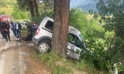 Kahramanmaraş’ta Korkutan Kaza: Hafif Ticari Araç Ağaca Saplandı