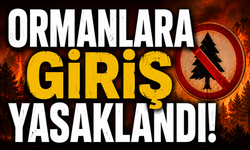 Kahramanmaraş'ta 8 Haziran’dan Sonra Ormana Girmek Yasak