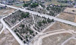 Kahramanmaraş’ta 736 Mezarlık İçin Dev Bakım Seferberliği